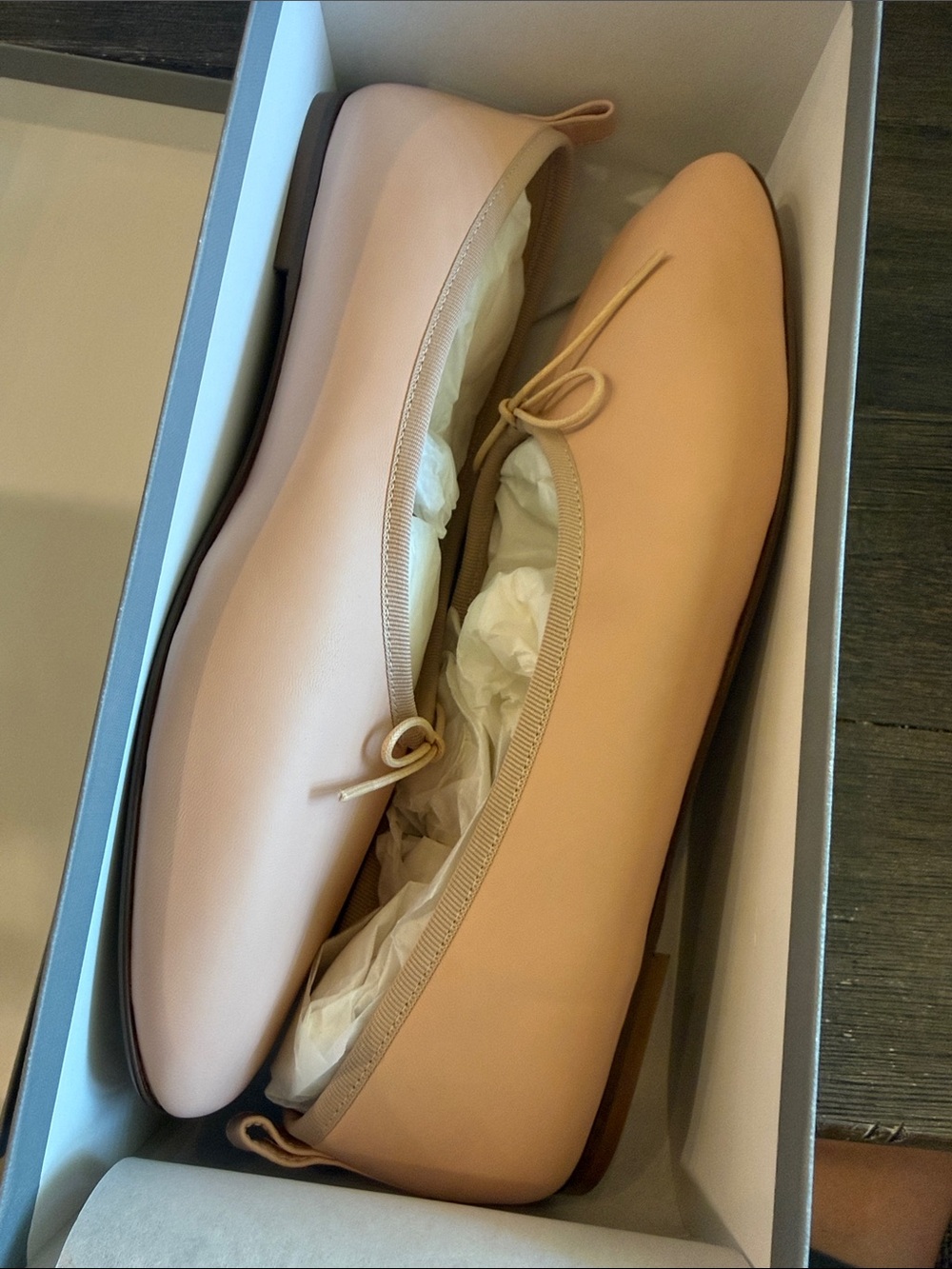 Everlane Women's Ballet Flats in Cream/Nude / New in box / Size 11